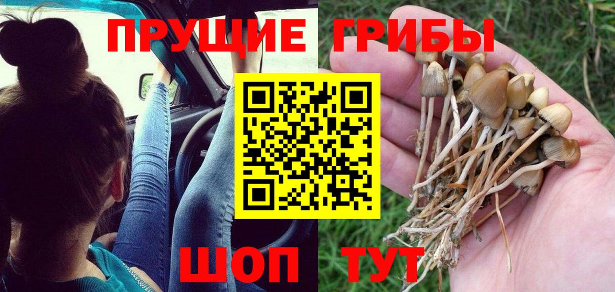 Лабинск  Галлюциногенные грибы Magic Shrooms  Вход с VPN 